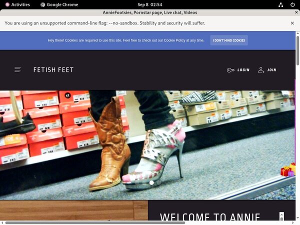 AnnieFootsies Paypal Access