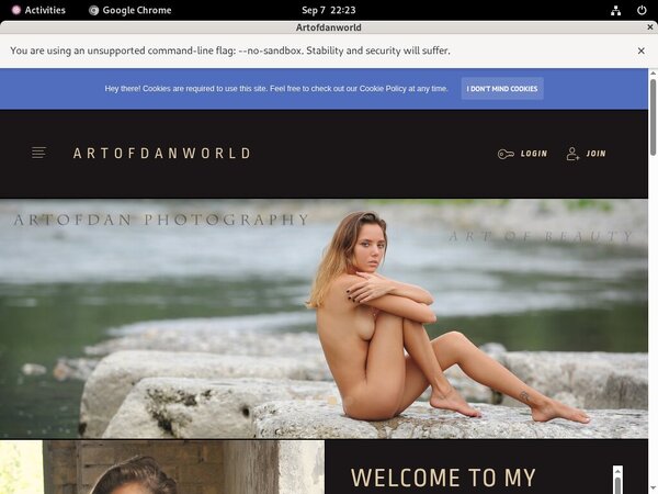 Artofdanworld Members