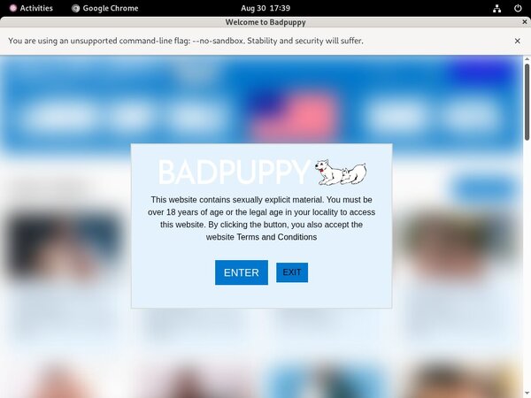 Bad Puppy Passwords Accounts