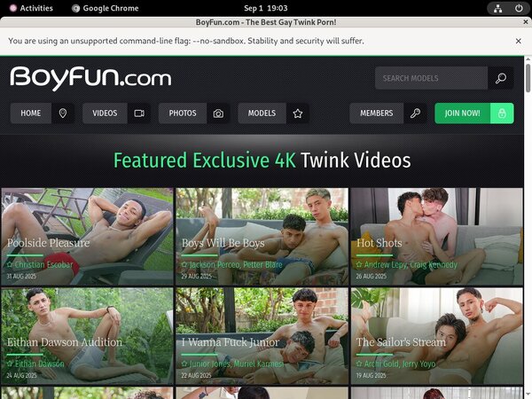Boy Fun Porn Stars