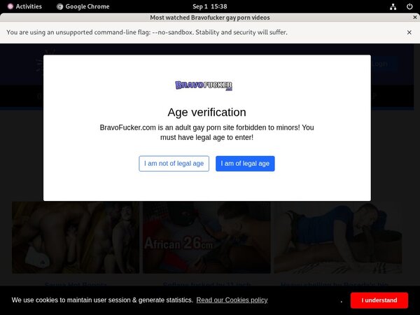Bravo Fucker Passwords