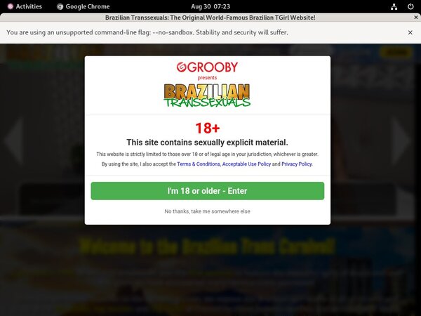 Brazilian Transsexuals Profile