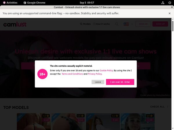 Cam Lust Free Login