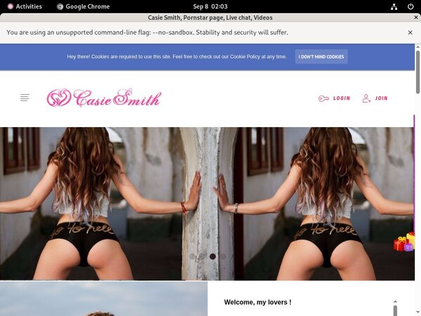 Casiesmith.modelcentro.com Gratis