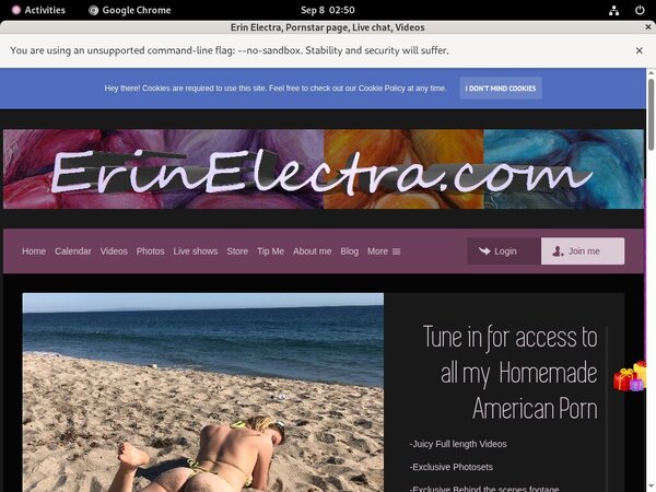 Erinelectra.com Image