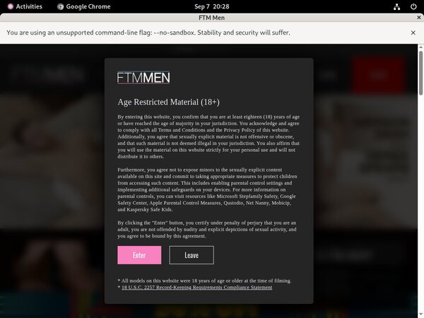 FTM Plus Live Cams