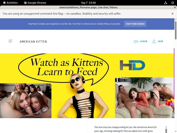 Free Americankitten.com Passwords Free Americankitten.com Passwords