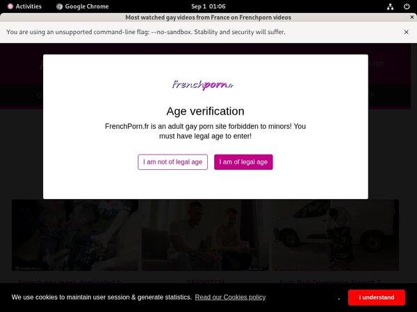 Frenchporn.fr Membership Discounts
