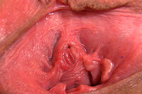 Gape My Pussy Black s2