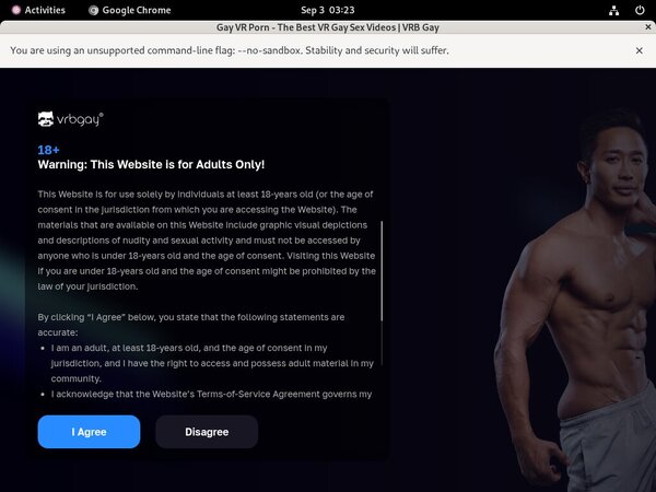Gay VRB Premium Account