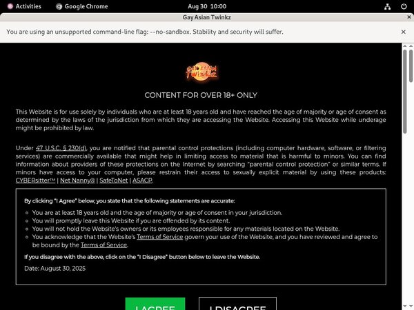 Gayasiantwinkz.com Live Gayasiantwinkz.com Live