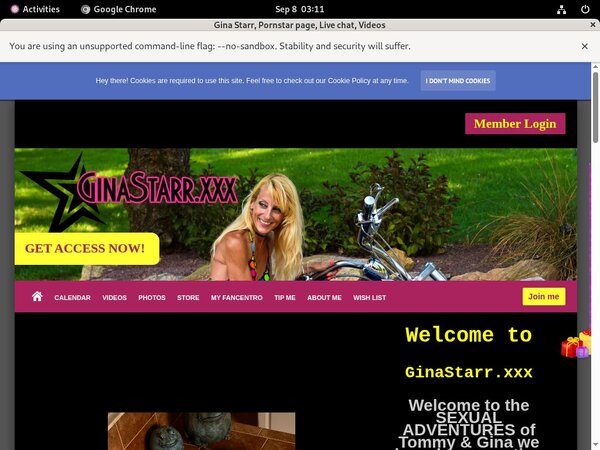 Gina Starr Passwords