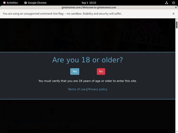 Girlsinsteel Order Page