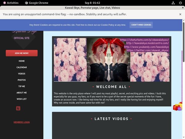 KawaiiSkye Site Rip 2018 KawaiiSkye Site Rip 2018
