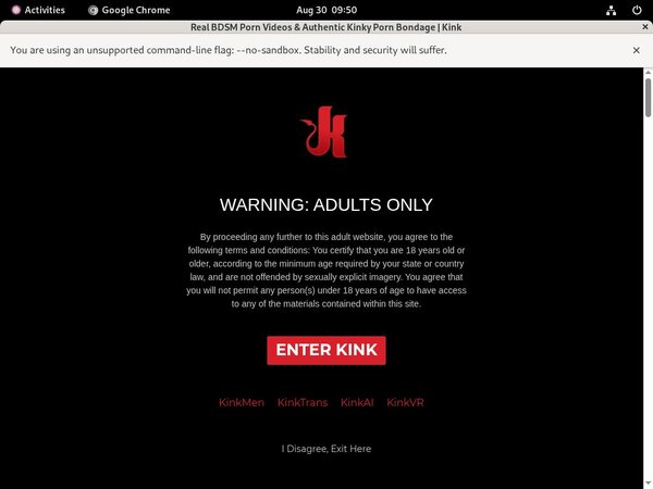Kink Stolen Password