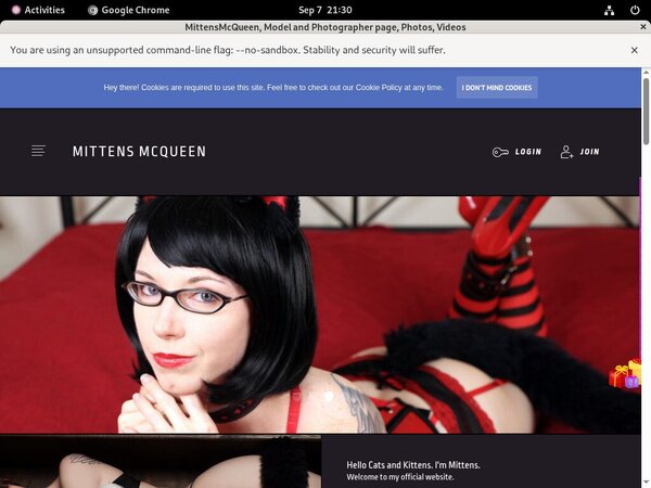 McQueen Mittens Premium Accounts
