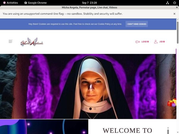 Michaangela.com Get Access