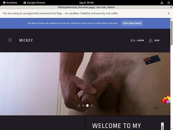 Mickeyelderstud Free Trial Login