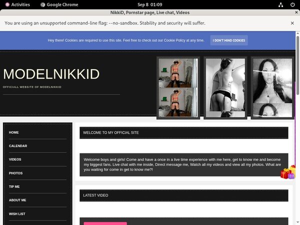 Modelnikki.modelcentro.com Accounta