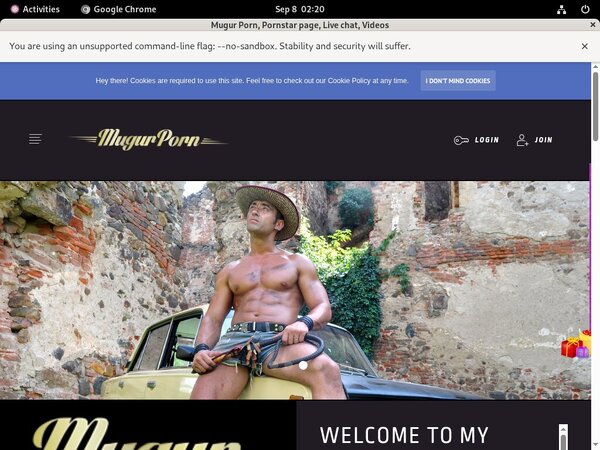 Mugur Porn Passcodes