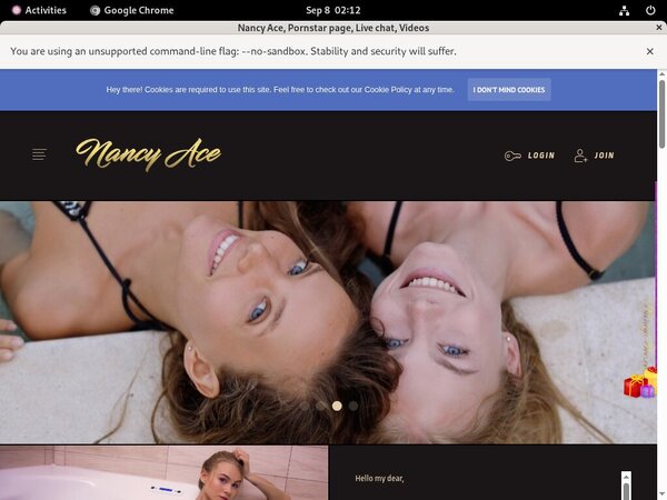 Nancyace.com Paypal Checkout