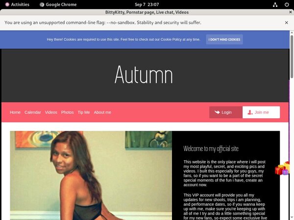 Paypal Signup BittyKitty Paypal Signup BittyKitty