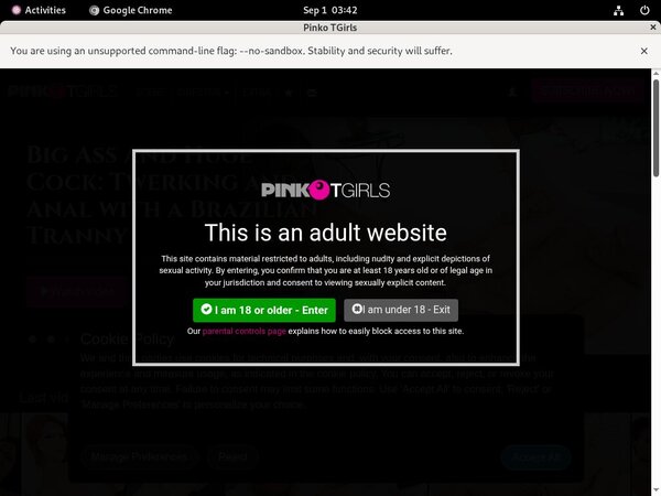 PinkO TGirls Free Users