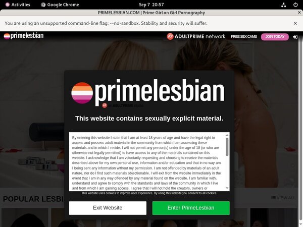 Primelesbian.com With ECheck