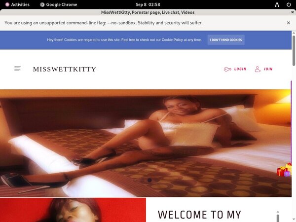 Save On MissWettKitty