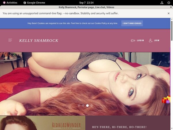 Shamrock Kelly Paypal