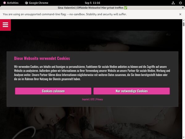 Sina Valentini Network