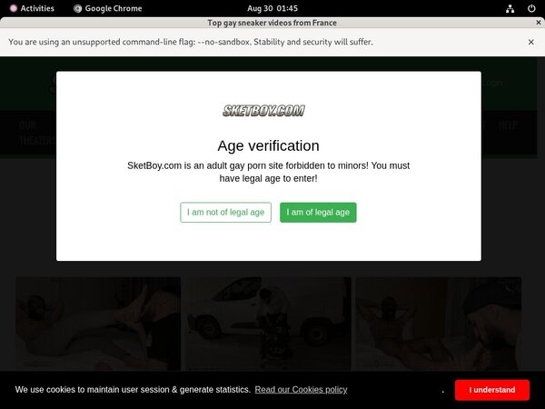 Sketboy.com Registration Form