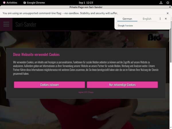 Special Sari Sander Free Trial