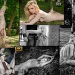 Subspace Land Daily Accounts Subspace Land Daily Accounts