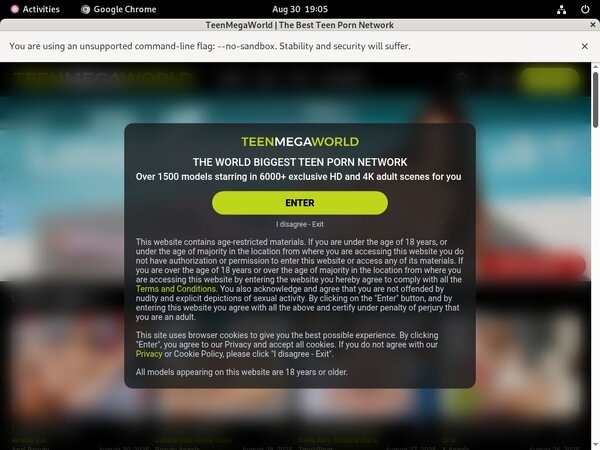 Teen Mega World Working Pass
