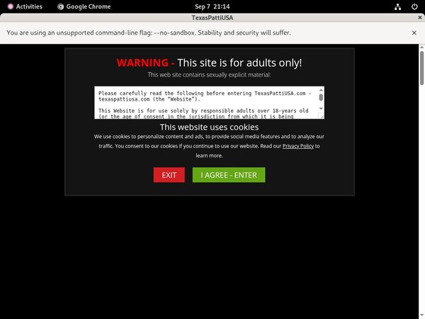 Texaspattiusa Hd Porn Videos