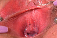 Tumblr Gape My Pussy s2