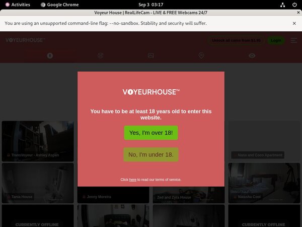 Voyeurhouse Promo Voyeurhouse Promo