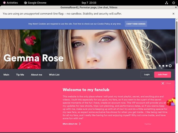 Working Gemmarose42.modelcentro.com Account