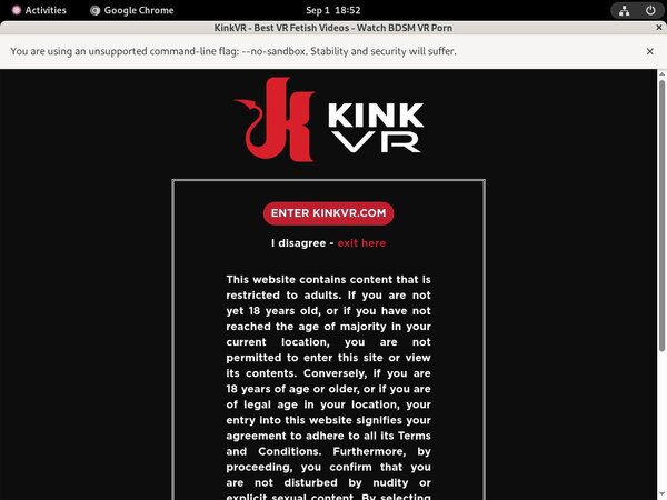 Working Kink VR Pass