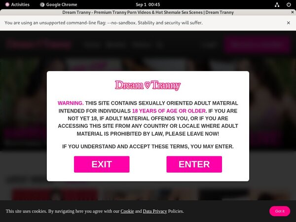 Dream Tranny Log In