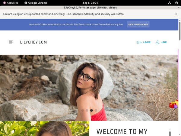 Lilychey.com Shop