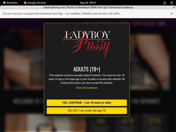 Pussy Ladyboy Join